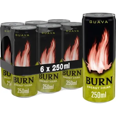 Енергетичний напій Burn Guava з/б 0.25л  арт. 11041