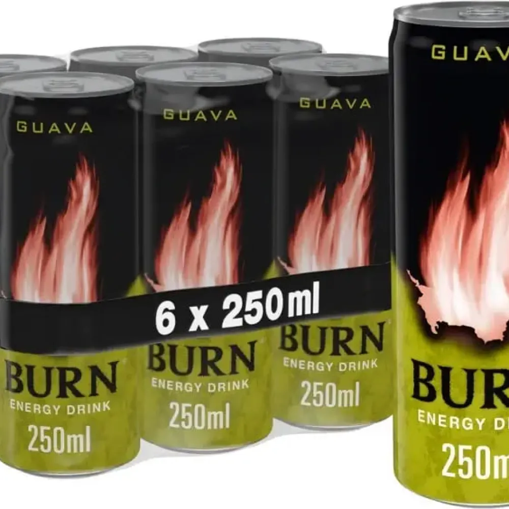 Енергетичний напій Burn Guava з/б 0.25л  арт. 11041 